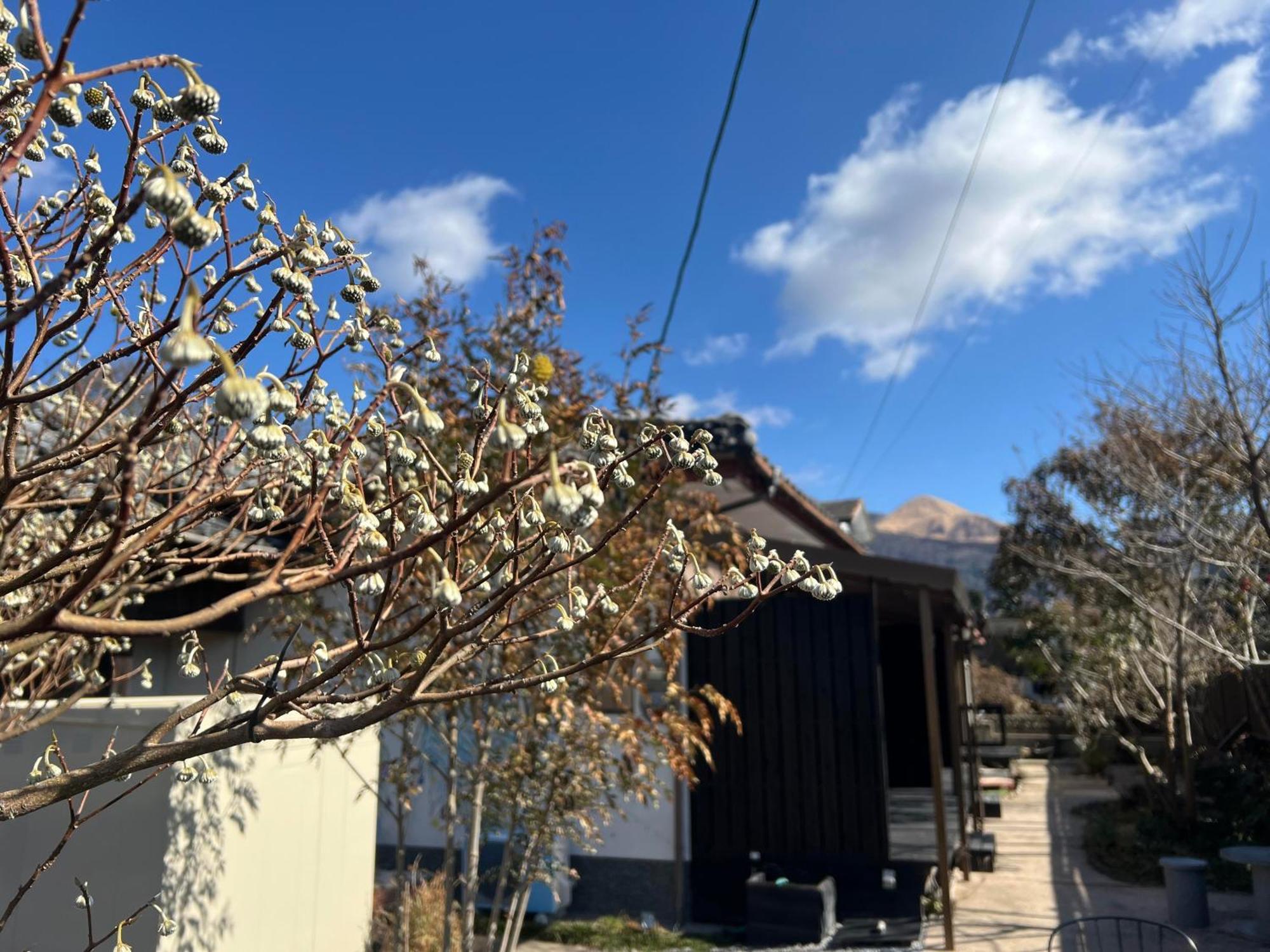 Assi House Yufu Exterior foto